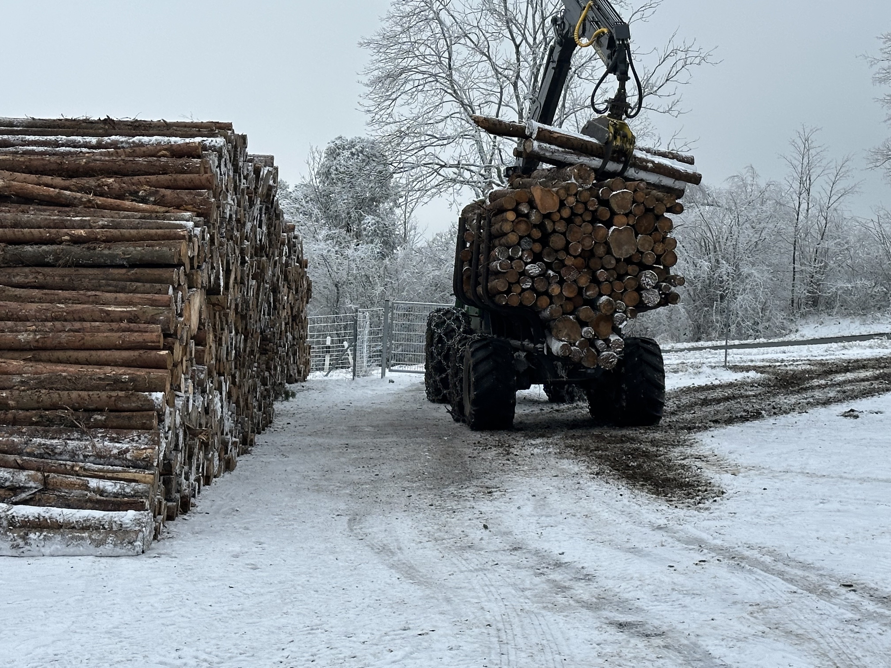 Brennholzverladung im Winter